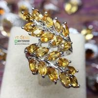 ราคา แหวนซิทริน ใบมะกอก แหวนเงินแท้ ชุบทองคำขาว พลอยซิทรินแท้ YTG 8197 (17399254008)