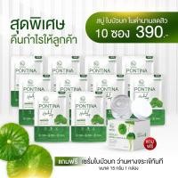 ราคา โปรพิเศษ สบู่ใบบัวบกพรทิน่า ซื้อ 10 ก้อน แถม เซรั่มใบบัวบก 15g สูตรสิว หน้าใส (20489103247)