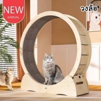 ราคา CatHoliday วงล้อ ลู่วิ่งออกกำลังกายสำหรับแมว ของเล่นแมว (21328969395)