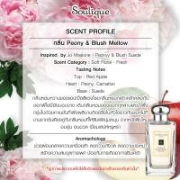 ราคา โซลีค น้ำหอมปรับอากาศ แบบแขวน กลิ่นเคาน์เตอร์แบรนด์ เกรดพรีเมี่ยม ตู้เสื้อผ้า รถยนต์ฯ มี 6 กลิ่น น้ำหอมแท้จาก ฝรั่งเศสและอังกฤษ (7113624922)