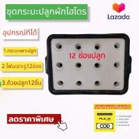 ราคา ชุดปลูกผักสลัด ขนาด12รู ชุดทดลองปลูกผักไฮโดรโปนิกส์ ชุดทดลองปลูกผักไร้ดิน ชุดทดลองปลูกผักน้ำนิ่ง (15161531925)