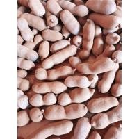 ราคา มะขามหวานเพชรบูรณ์ พันธุ์ศรีชมภูแบบข้อ (21268033468)