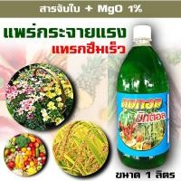 ราคา มิกตอล สารจับใบ ขนาด 1 ลิตร สูตรเข้มข้น อย่างดี ยาจับใบ สารเสริมประสิทธิภาพ แพร่กระจาย แทรกซึมได้ดี เบสมอร์ เอฟอช แอ็ปซ่า ดีน่า (9406752029)