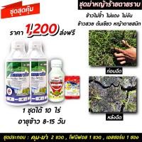 ราคา ชุดฆ่าหญ้า โคลมาโซน โพรพานิล 2ขวด โฟนิฟอส 1 เอสซอร์บ 1ซอง คุมฆ่า ในนาข้าว ยาเก็บหญ้า ยากำจัดหญ้า หญ้าลิเก หญ้าดื้อยา ยาคุมฆ่า ดอกขาว (14349073294)