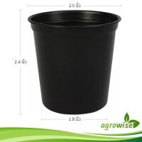 ราคา กระถางต้นไม้สวยๆ กะถางต้นไม้ กระถาง กระถางดำ 3 นิ้ว สีดำ กระบองเพชร 100 ชิ้น (21358583814)