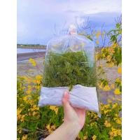 ราคา สาหร่ายพวงองุ่น สด จากฟาร์ม พร้อมส่ง รับประกันเคลมสินค้า 1 กิโล (20435780741)