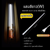ราคา หลอดไฟงานวัดT8 30ชุด หลอดไฟงานวัดLED พร้อมปลั๊ก T8 ไฟงานวัด หลอดนีออนสี หลอดไฟงานวัด (19652062433)