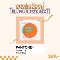 ราคา VIV SKIN Skin Angle Blush Coral Peach บลัชนางฟ้า ทาตา แก้ม ปาก (21236944104)
