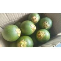 ราคา betel nut areca nut หมากสด หมากเคี้ยว หมากอ่อน หมากชุมพร หมากดิบ หมากฝาด ขายเป็นชุด 10 ลูก 10pc (21345685120)