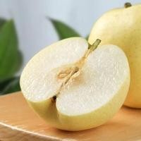 ราคา สาลี่น้ำผึ้ง Sweet Pear CHN นำเข้า หอม หวาน อร่อย (20901672494)