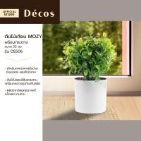 ราคา DECOS ต้นไม้เทียม พร้อมกระถาง 22 ซม MOZY รุ่น DS506 EA (18953851166)