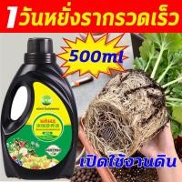 ราคา 1วันหยั่งรากรวดเร็ว ยาเร่งราก 500ml น้ำยาเร่งราก b1 เปิดใช้งานดิน ปุ๋ยเร่งราก รากระเบิด ปุ๋ยเร่งราก สารเร่งรากพืช ผงเร่งรากพืช เร่งราก ผงเร่งราก (20812370445)