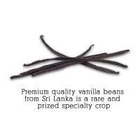 ราคา Vanilla Beans 5 PODS Grade A USDA Certified Vanilla Pods for Vanilla Extract Chefs Choice best for Cooking Baking Brewing 6 8 Sri Lankan vanilla (21347459837)