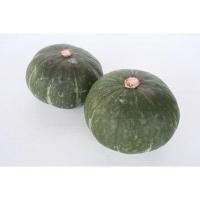 ราคา เมล็ดพันธุ์ ฟักทองญี่ปุ่น ฟักทองพวงญี่ปุ่น สีเขียว 1 12 เมล็ด ถูกที่สุด 10 แถม 1 คละได้ ปลูกง่าย โตไว (10697293673)