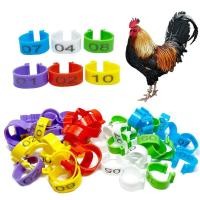 ราคา ปลอกขาไก่ชน ห่วงขาไก่ กิบติดปีกไก่ชน ห่วงขาไก่ชน ที่รัดขาไก่ ปลอกขาไก่ อุปกรณ์ไก่ชน (20976168928)