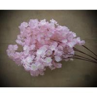 ราคา Clitomk COD กิ่งก้านดอกซากุระเทียม ช่อซากุระปลอม ช่อดอกซากุระ ช่อซากุระประดิษฐ์ ตกแต่งงานแต่งงาน ตกแต่งบ้าน (20880432973)