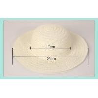 ราคา หมวกสานสำหรับเด็ก DIY หมวกสานเปล่า เพ้นท์หมวกของคุณเอง งานศิลปะสำหรับเด็ก (4968890367)