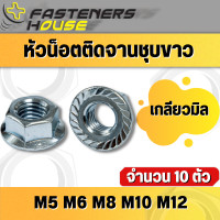 ราคา หัวน็อตจาน เหล็กชุบขาว น็อตติดแหวน น็อตจานจักร น็อตตัวเมีย ขนาด M5 M6 M8 M10 M12 จำนวน 10 ตัว (15882471693)
