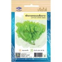 ราคา เมล็ดพันธุ์ ผักกาดหอม เมล็ดขาว เจียไต๋ (20670237214)