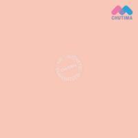 ราคา บลัชออน โฟร์ยูทู 3 เนื้อ 27 เฉดสี เนื้อโมจิ แมท ชิมเมอร์ บลัช 4U2 FOR YOU TOO MOJI MATTE SHIMMER BLUSH 5g 5 5g (18337853133)