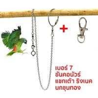 ราคา พร้อมส่ง โซ่คล้องขานก สายจูงนก โซ่นกแก้ว โซ่จูงนก โซ่สำหรับนกแก้ว ห่วงเปิดขานก ห่วงขานก ยาว 80 ซม สแตนเลส (21211447390)