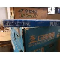 ราคา GEMINI ลวดเชื่อมเหล็กหล่อ ลวดเชื่อม เหล็กหล่อ ลวดเชื่อมนิกเกิล เหล็กหล่อเจมินี่ nicast55ขนาด2 6มมกล่องละ1กิโลกรัมGEMININIcast55NIC55 (3237334216)