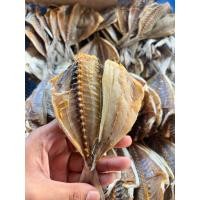 ราคา ปลาตาโตเค็ม 500 กรัม ปลาตาโตเค็มผ่า เนื้อไม่แข็ง ปลาเนื้อเยอะ (20832885525)