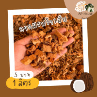 ราคา มะพร้าวสับ กาบมะพร้าวสับ กากมะพร้าว กาบมะพร้าวสับเล็ก ขนาด 1 ลิตร ชิ้นเล็กพอดี ปลูก ชำ ไม้ทุกชนิด (21353405656)