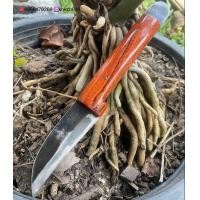 ราคา มีดตอนกิ่ง ติดตา เสียบยอด ทาบกิ่ง เหล็กใบเลื่อย (12957615182)