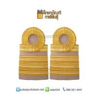 ราคา อินทรธนู ขีดข้าราชการ บ่า กระดานบ่า ชุดกากี แบบปฏิบัติราชการ ระดับปฎิบัติการ ระดับ ชำนาญการพิเศษ 7 8 ผลิตจากดิ้นอินเดีย (931244861)