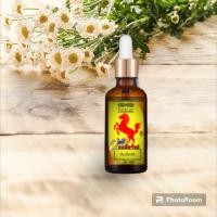 ราคา น้ำมันสมุนไพรกวาวเครือแดงแพค2ขวด (20140134649)