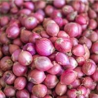 ราคา หอมแดง ตัดจุก 500 1000 กรัม ตรงปก หอมแดงไทย ศรีสะเกษ คุณภาพดี เนื้อแน่น หัวสวย รับประกันคุณภาพ (21086177862)