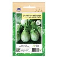 ราคา เมล็ดพันธุ์ มะเขือเปราะ มณีจันทรา ตราเจียไต๋ (20682409152)