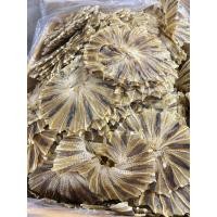 ราคา ปลากระเบนวง ปลาวงแห้งจัดขนาด300กรัม (19837956116)