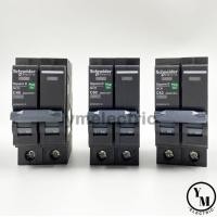 ราคา เมนเซอร์กิต 2P 16A 63A Schneider SquareD (4963856609)