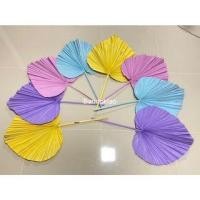 ราคา ใบตาล ดอกไม้แห้ง ใบไม้แห้ง ใบตาล ใบปาลม์ ใช้ปักแจกัน ใบตาล เก๋ตกแต่งบ้านแต่งร้าน จัด backdrop พร้อมส่ง (17033697138)