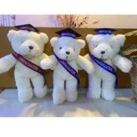 ราคา ตุ๊กตาบัณฑิต มีสายสะพาย Congratulations พร้อมหมวก หมียืน 12 นิ้ว (19886164757)