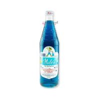 ราคา ราคาพิเศษ เฮลซ์บลูบอย น้ำหวานเข้มข้น Hales Blue Boy มี 10 รสชาติ FLAVOURED SYRUP สั่งได้สูงสุด 2 ขวด ออเดอร์ (21326978443)