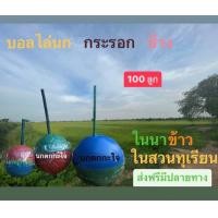 ราคา Uoa100บอล100บอลปราบนก ปราบกระรอก ปราบช้าง 100 ลูก ส่งไว (21332056114)