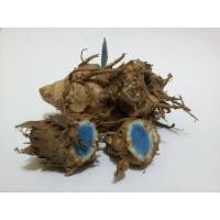 ราคา 1 กิโลกรัม Curcuma aeruginosa Roxb เหง้าหัว ขมิ้นดำ ขมิ้นดำสด ว่านมหาเมฆ ว่านมงคล (4375652854)