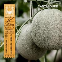 ราคา KARMAKAMET Original Aromatic Glass Candle คามาคาเมต เทียนหอม เทียน สร้างบรรยากาศ กลิ่นหอม บ้านหอม (13248192443)