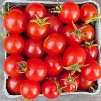 ราคา มะเขือเทศเชอรี่ สีแดง ถูกที่สุ10บ เมล็ดพันธุ์มะเขือเทศเชอรี่10เมล็ด ปลูกง่ายขึ้นไว มะเขือเทศกินสด (13082191014)