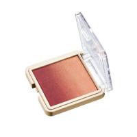 ราคา บลัชออน Cute Press Nonstop Beauty Ombre Blush (737634326)