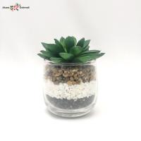 ราคา กุหลาบหินปลอม กระถางแคคตัสปลอม ต้นไม้ปลอมจิ๋วพร้อมกระถาง (2732136121)