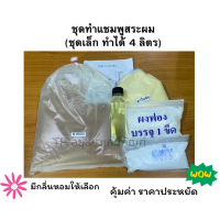ราคา ชุดทำ แชมพูสระผม น้ำยาสระผม ชุดเล็ก ทำได้ 4 ลิตร (20854892964)