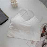 ราคา Babybra shop ชุดชั้นในแฟชั่น บราเซ็กซี่ ครอปครึ่งตัว ครอปโชว์หลัง สายไขว้ สายเดี่ยว บราไร้ขอบ ไร้โครง CBB228 (16275258724)