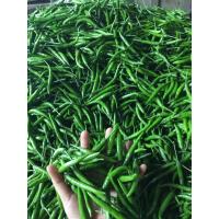 ราคา พริกขี้หนูลูกผสม พริกจินดา สด สด จากสวน ปลอดสาร เก็บใหม่ทุกออเดอร์ (12366886675)