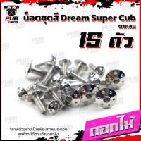 ราคา น็อตชุดสีดรีมดรีม110i ปี 2018 1ชุด 15 ตัว น๊อตชุดสีDreamDream110iSuper Cub ตากลม น็อตเฟรมดรีม น็อตดรีม น็อตสแตนเลส (16443516823)