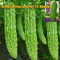 ราคา เมล็ดพันธุ์ มะระขี้นก บรรจุ 10เมล็ด Green Bitter Gourd Seeds Organic Vegetable Seeds for Planting เมล็ดพันธุ์มะระจีน เมล็ดมะระ ผักออร์แกนิก F1 เมล็ดพันธุ์ผัก บอนไซ พันธุ์ผัก เมล็ดผัก เมล็ดพันธุ์ OP แท