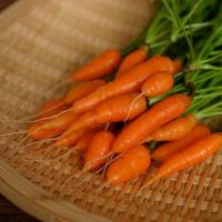 ราคา เบบี้แครอท ถูกที่สุด10บ เมล็ดพันธุ์ Baby Carrot 50 1000 เมล็ด ปลูกง่าย โตไว ทานสด หวาน กรอบ อร่อย (19104439295)